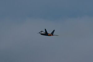 Abbotsford 2024 Airshow 27.jpg