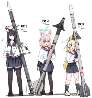 Fox Codes and Air-to-Air Missiles Illustrations.png